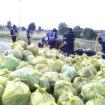 cleanup-week